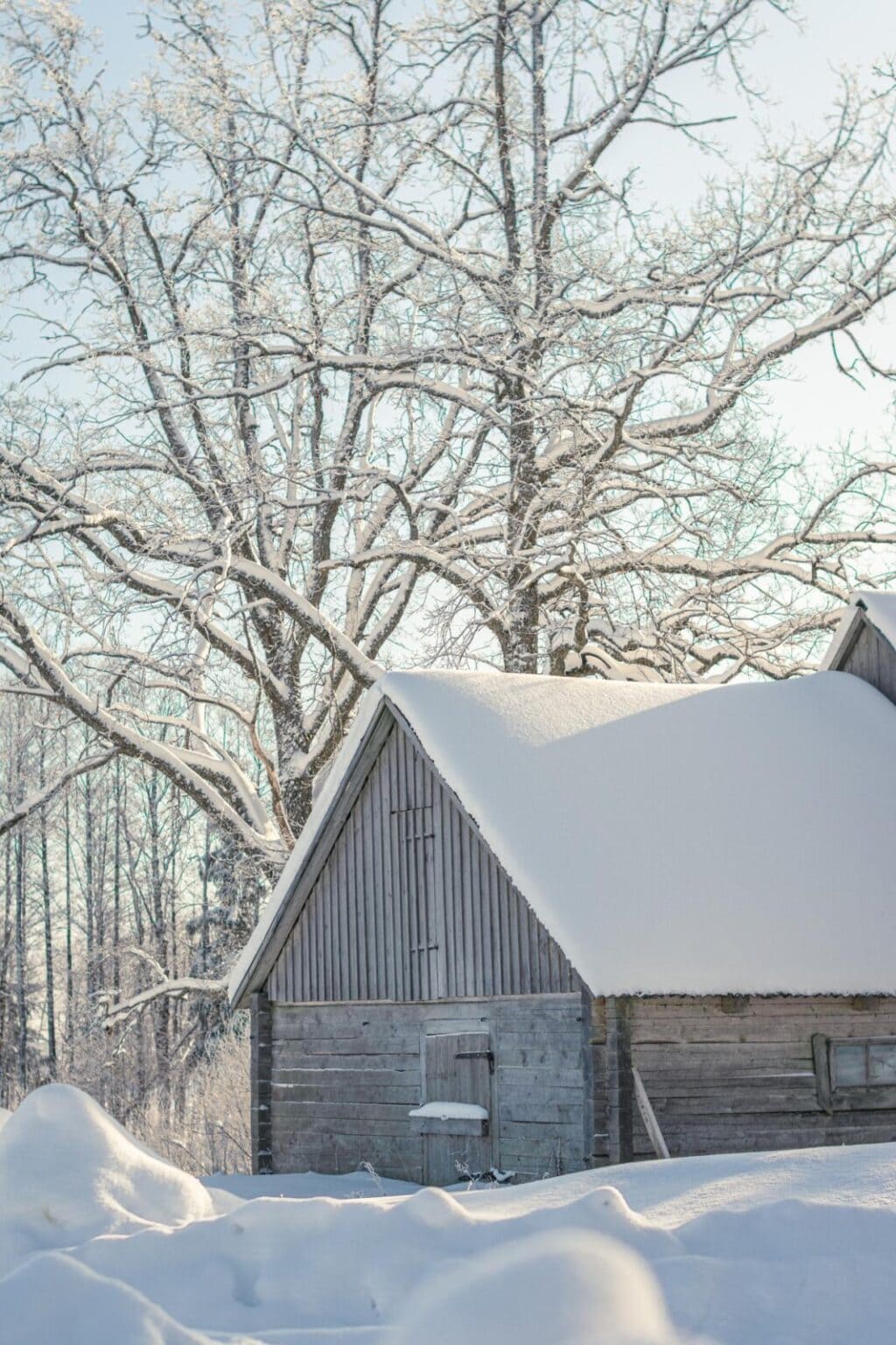 A wooden cabin is covered in snow, set against bare trees and a clear sky in a winter landscape.
